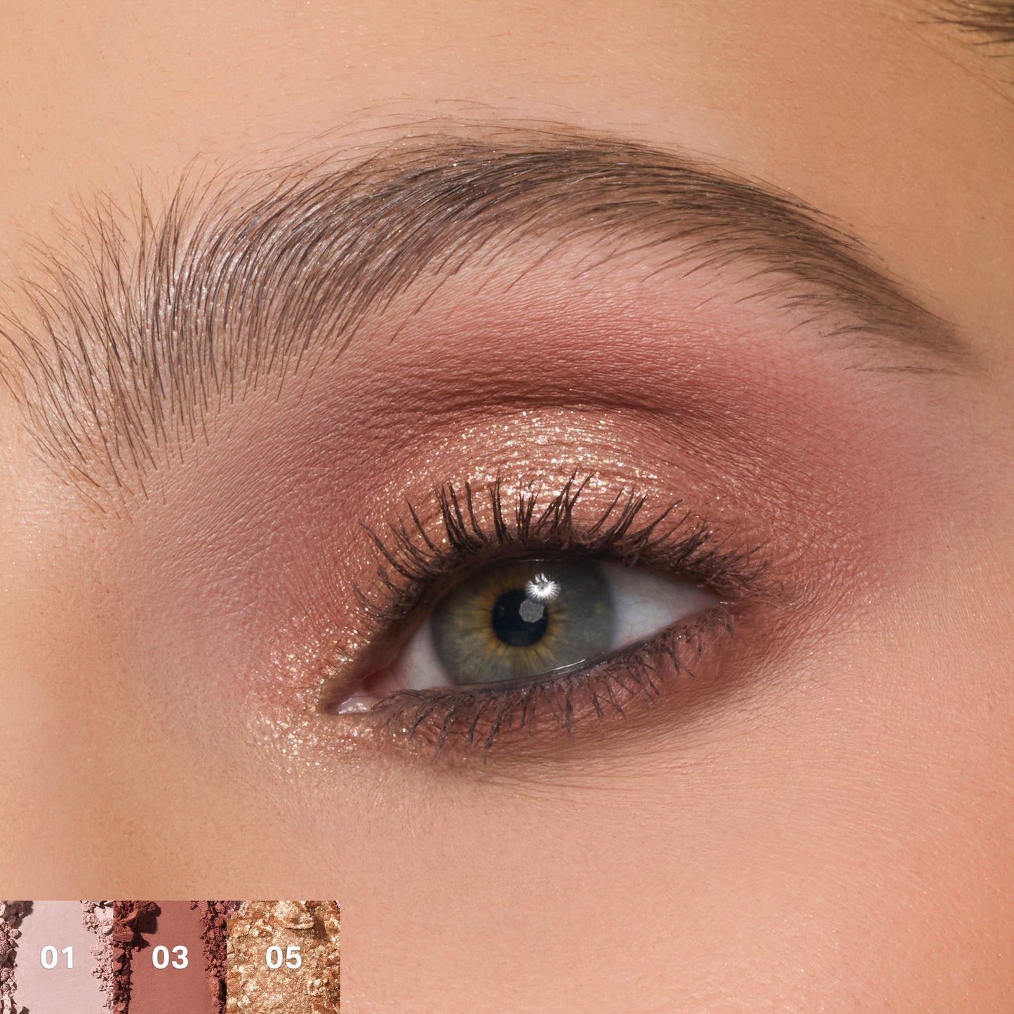 Morphe ChromaPlus 6-Pan Eyeshadow Palette “Outer Spice”